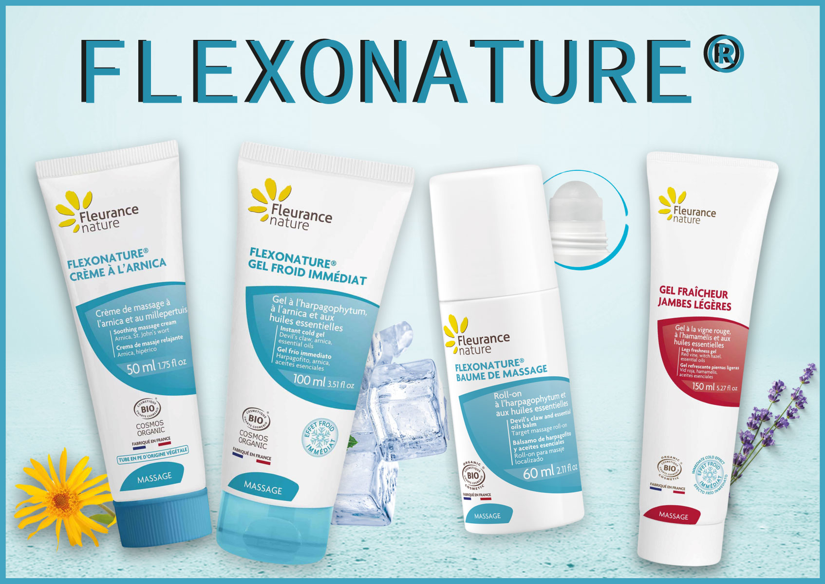 articulation et circulation articulation et circulation